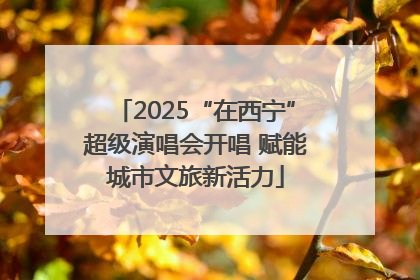 2025“在西宁”超级演唱会开唱 赋能城市文旅新活力